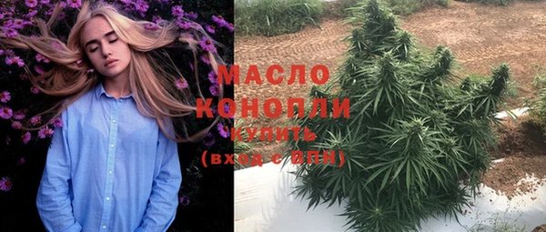 молекула духа Михайловка
