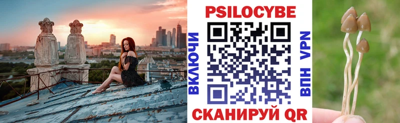 Галлюциногенные грибы прущие грибы  Островной 